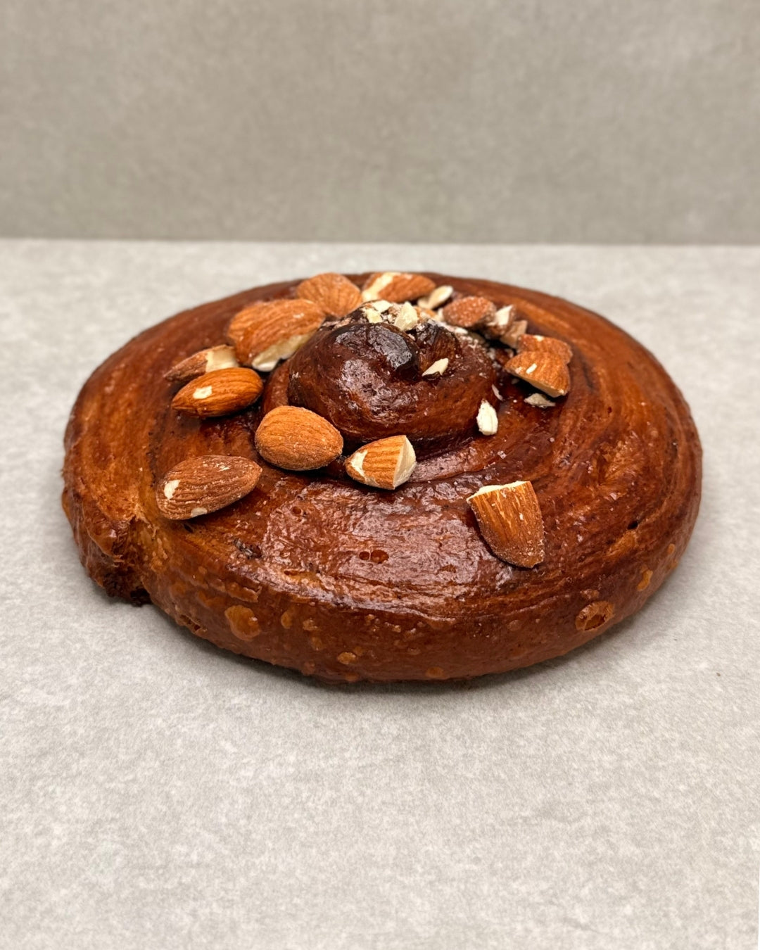 Cinnamon Snail