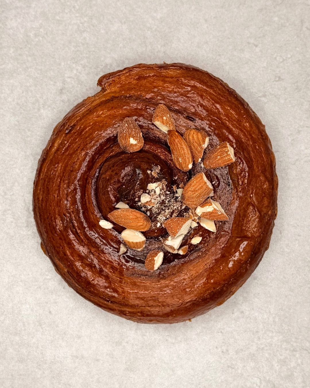Cinnamon Snail