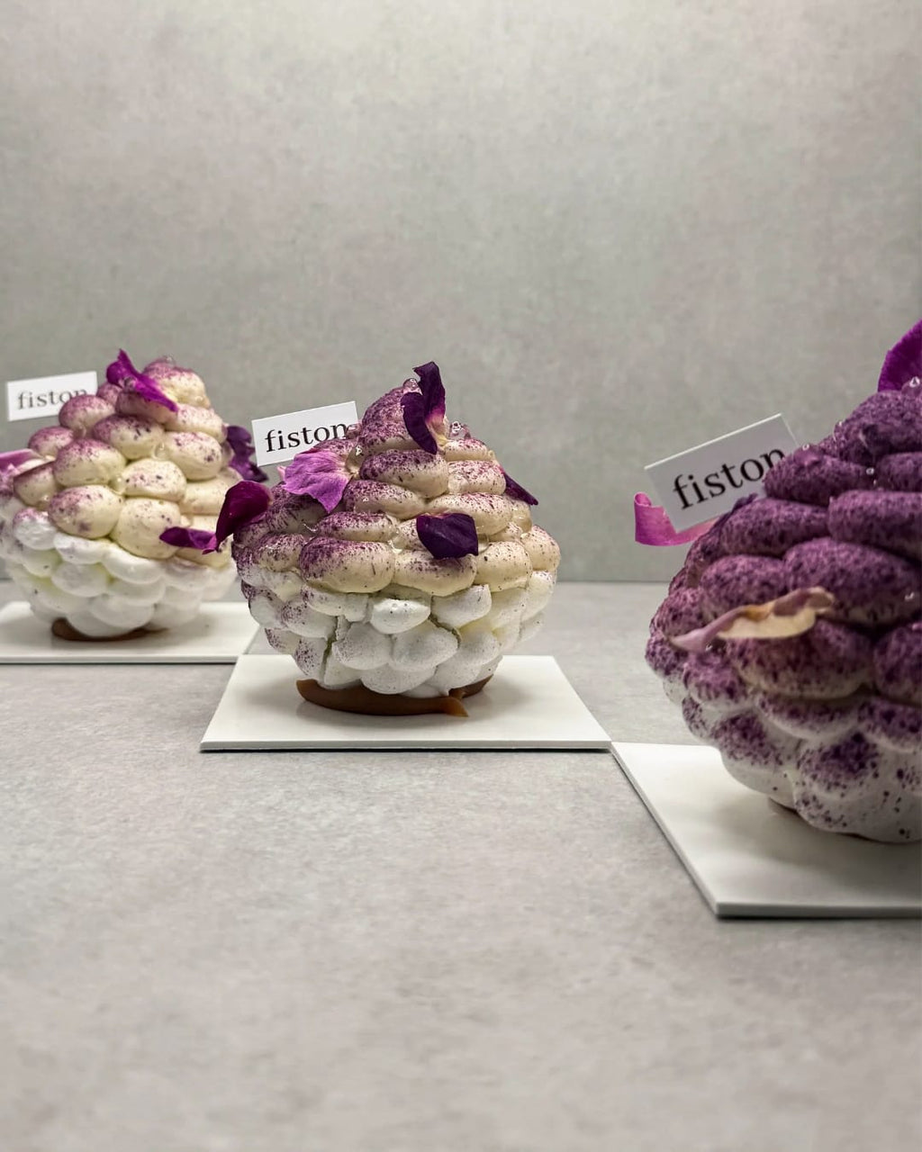 Pavlova myrtille