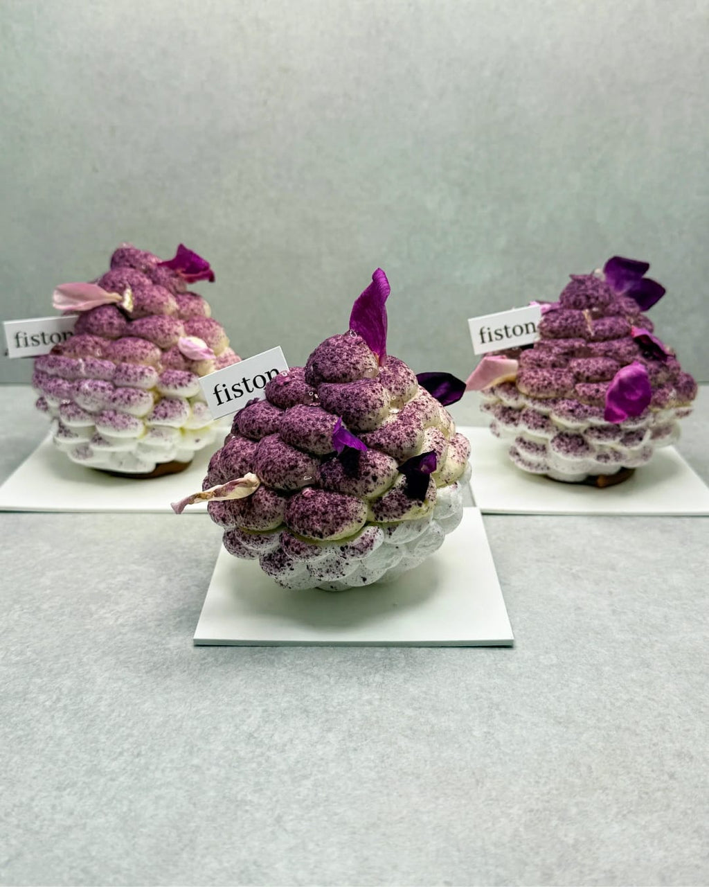 Pavlova myrtille